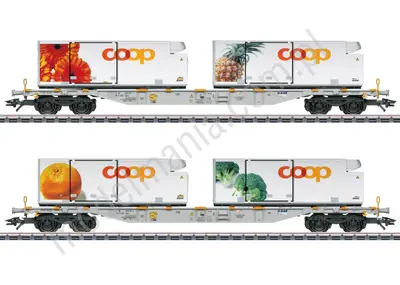 Zestaw wagonów kontenerowych AAE/Coop
