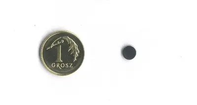 Magnes neodymowy okrągły Ø 5mm x 1mm / 1szt.