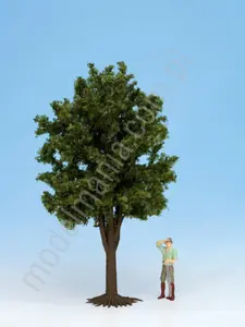 Drzewo owocowe, 30 cm