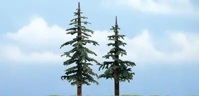 Zestaw drzew premium - Sosna Wydmowa 12.7 - 10.1cm / 2 szt