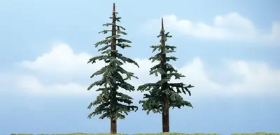 Zestaw 2 drzew premium - Sosna Wydmowa 12.7/15.2cm