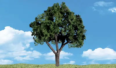 Zestaw drzew - Drzewo liściaste 7.62-10.1cm / 3 szt