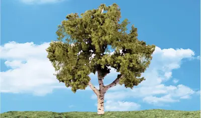 Zestaw drzew - Nadwodna Brzoza 17.7 - 15.2cm / 2 szt.