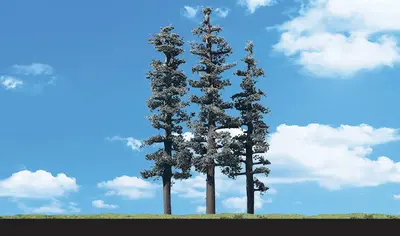 Zestaw drzew - Wysokie drzewa liściaste 10.1-15.2cm / 4 szt